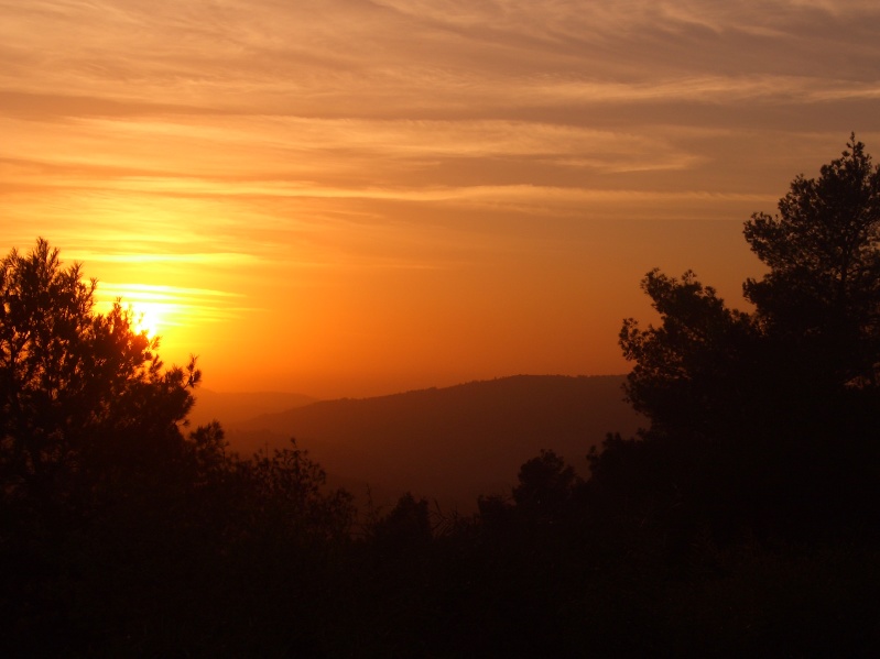 20050217-Jerusalem-Forest-sunset-C3010.jpg