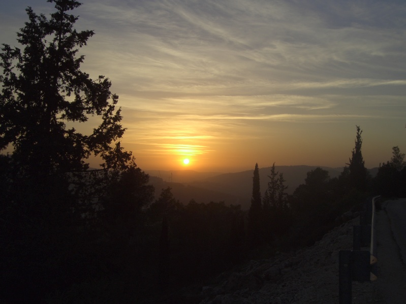 20050217-Jerusalem-Forest-sunset-C3011.jpg