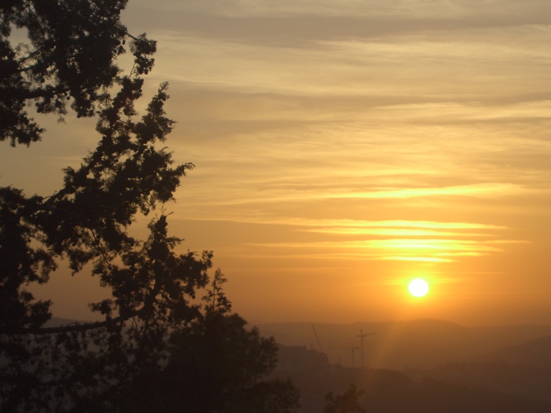 20050217-Jerusalem-Forest-sunset-C3012.jpg