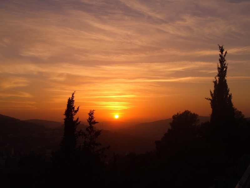 20050217-Jerusalem-Forest-sunset-C3015.jpg