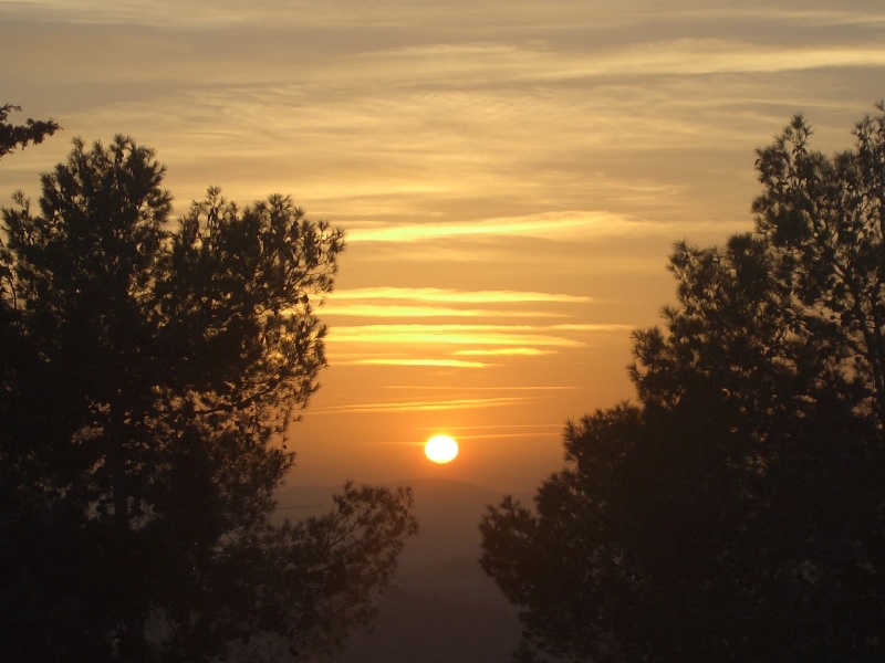 20050217-Jerusalem-Forest-sunset-C3018.jpg