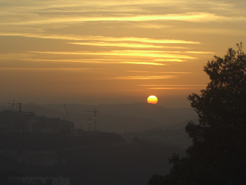 20050217-Jerusalem-Forest-sunset-C3021.jpg