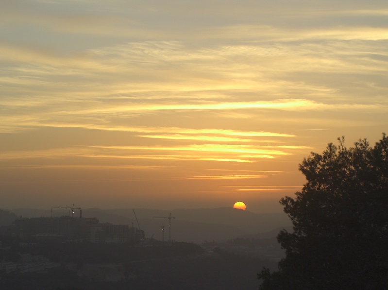20050217-Jerusalem-Forest-sunset-C3023.jpg