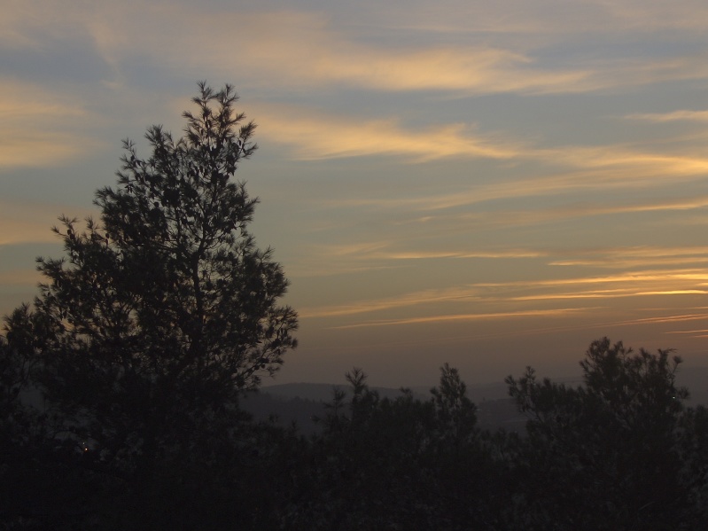 20050217-Jerusalem-Forest-sunset-C3027.jpg