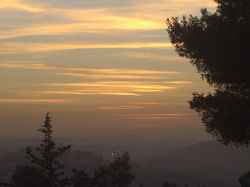 20050217-Jerusalem-Forest-sunset-C3030.jpg
