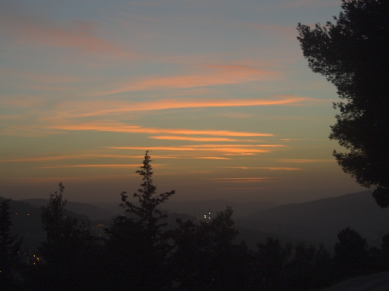 20050217-Jerusalem-Forest-sunset-C3032.jpg