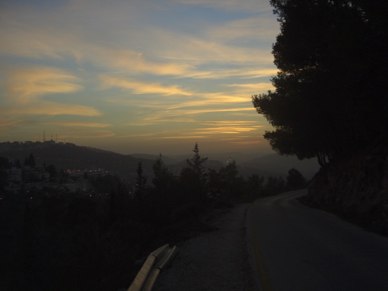 20050218-Jerusalem-Forest-sunset-C3029.jpg