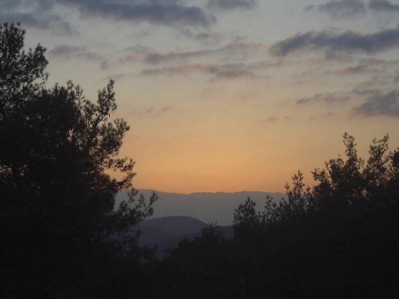 20050404-190054-Jerusalem-Forest-sunset-C3687.jpg