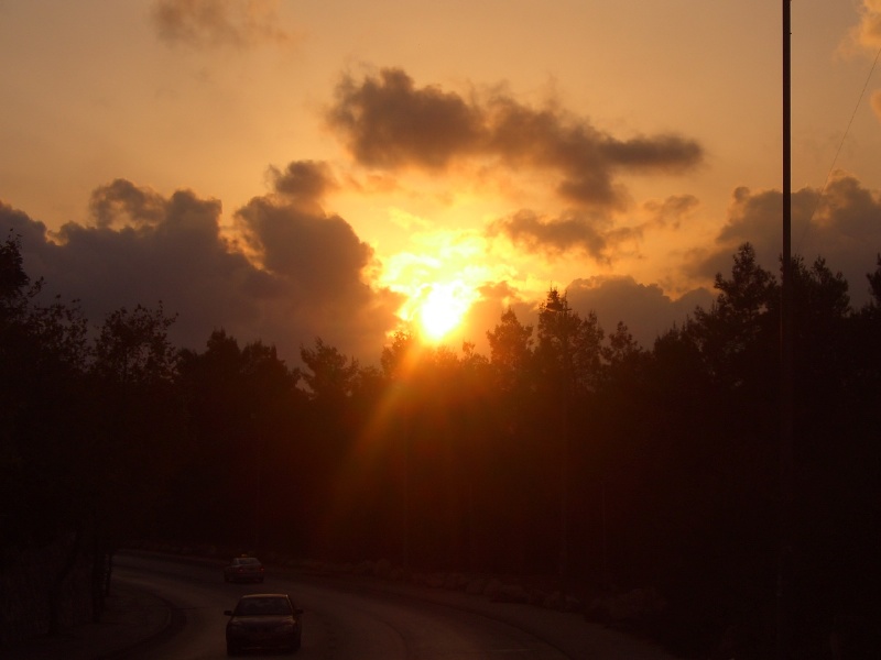 20050927-sunset-in-jerusalem-forest-5417.jpg