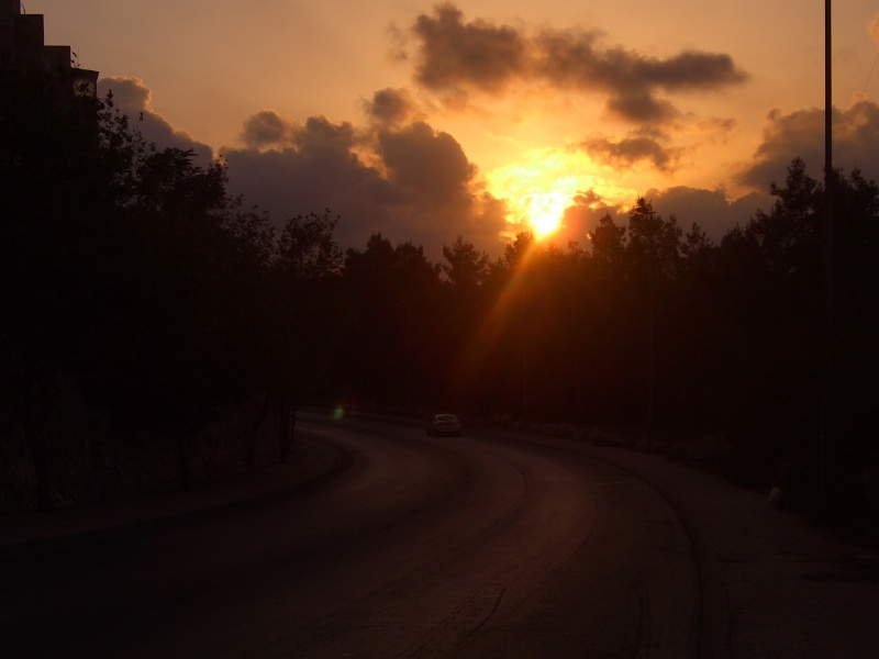 20050927-sunset-in-jerusalem-forest-5418.jpg