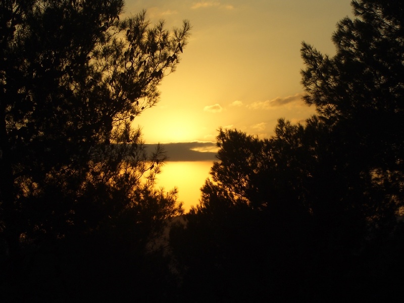20050930-sunset-in-jerusalem-forest-5436.jpg