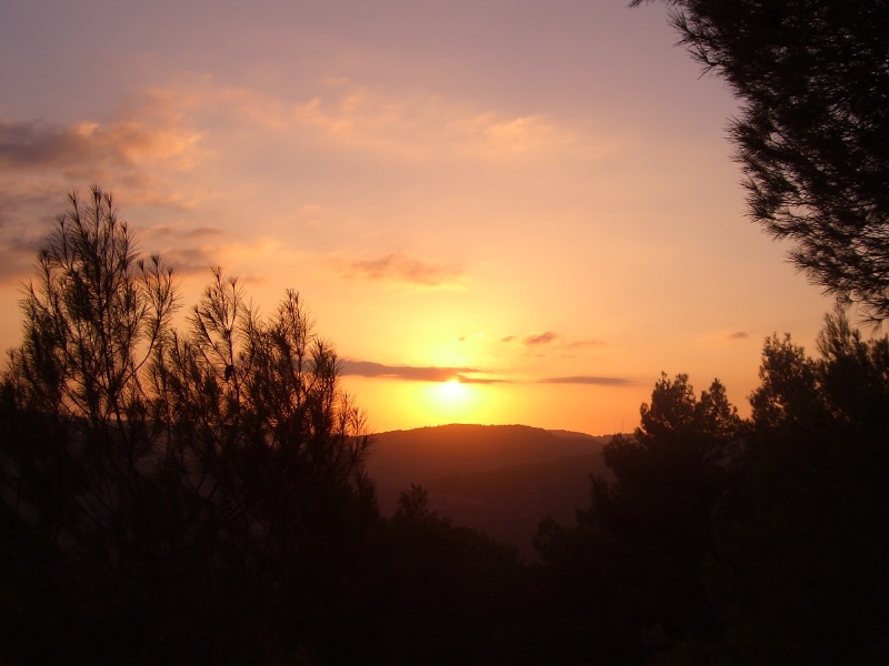 20050930-sunset-in-jerusalem-forest-5440.jpg
