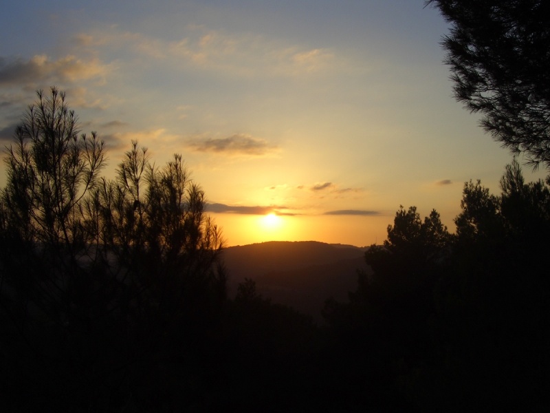 20050930-sunset-in-jerusalem-forest-5442.jpg
