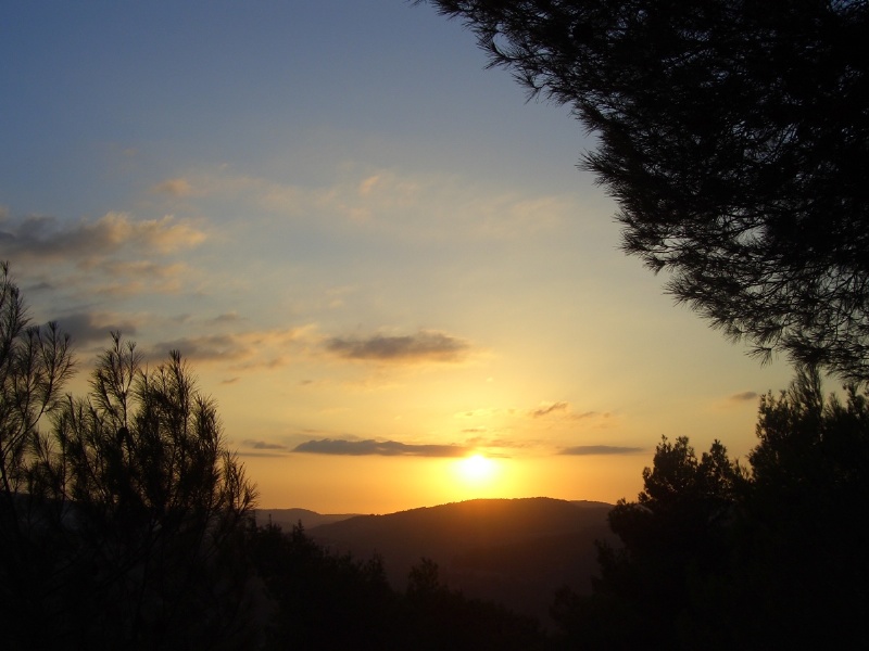 20050930-sunset-in-jerusalem-forest-5443.jpg