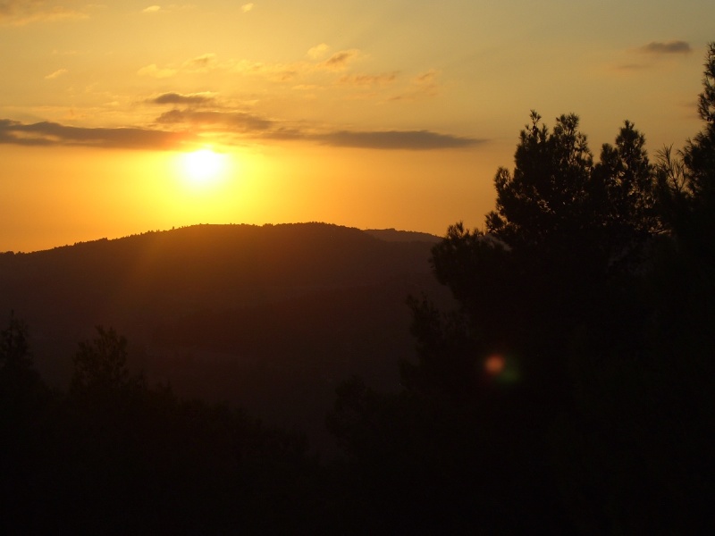 20050930-sunset-in-jerusalem-forest-5446.jpg