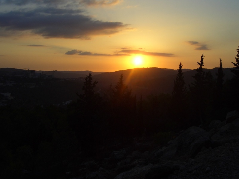 20050930-sunset-in-jerusalem-forest-5450.jpg