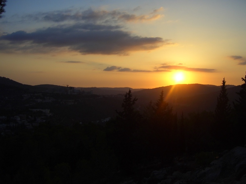 20050930-sunset-in-jerusalem-forest-5451.jpg