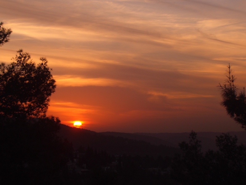 20051128-jerusalem-forest-sunset-6102.jpg