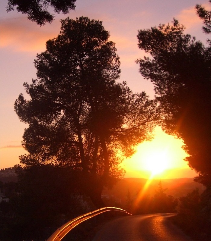 20060126-jerusalem-forest-sunset-6491.jpg