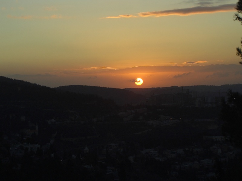 20060126-jerusalem-forest-sunset-6504.jpg