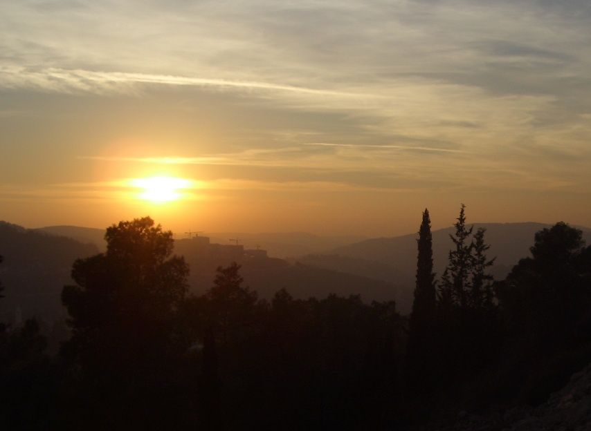 20060131-jerusalem-forest-sunset-6540-2.jpg