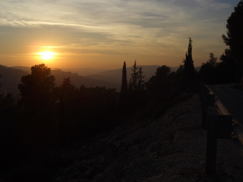 20060131-jerusalem-forest-sunset-6540.jpg