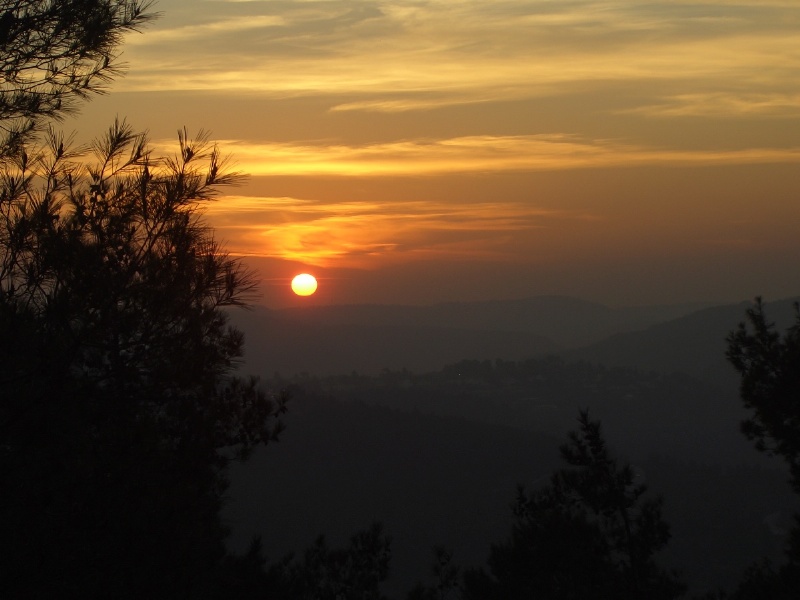 20060131-jerusalem-forest-sunset-6558.jpg