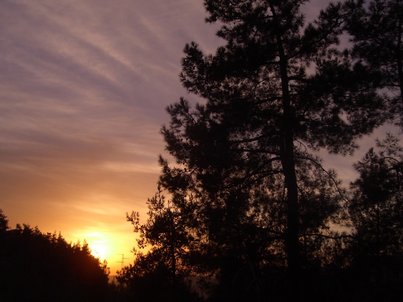 20060207-jerusalem-forest-sunset-6587.jpg