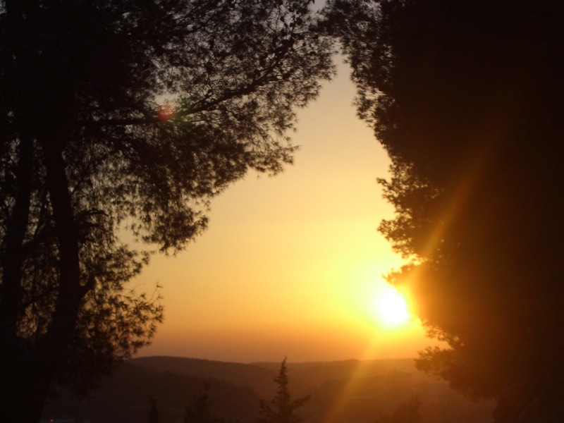 20060210-jerusalem-forest-sunset-6597.jpg