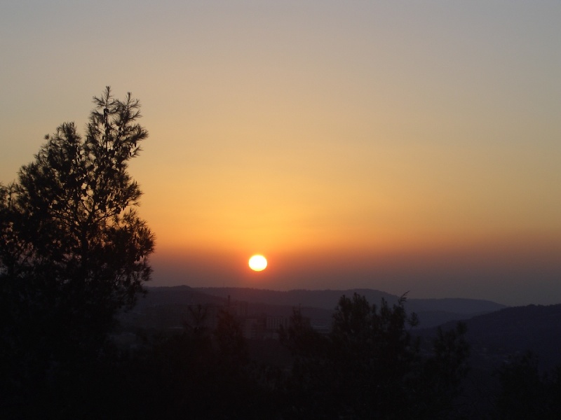 20060210-jerusalem-forest-sunset-6600.jpg