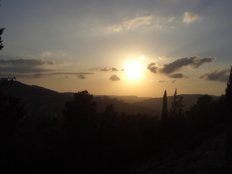 20061016-sunset-in-Jerusalem-Forest-CIMG0172.jpg