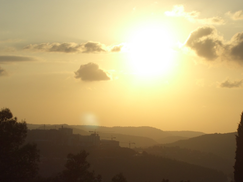 20061016-sunset-in-Jerusalem-Forest-CIMG0173.jpg