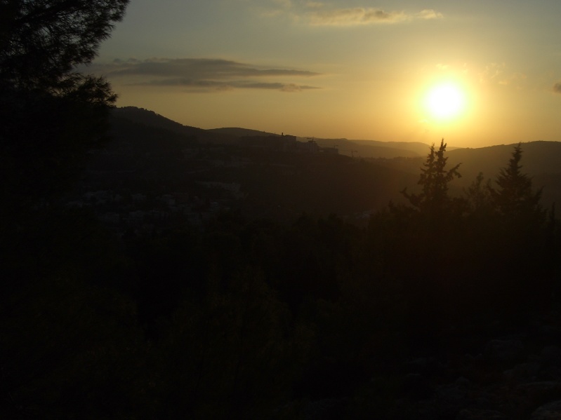 20061016-sunset-in-Jerusalem-Forest-CIMG0176.jpg