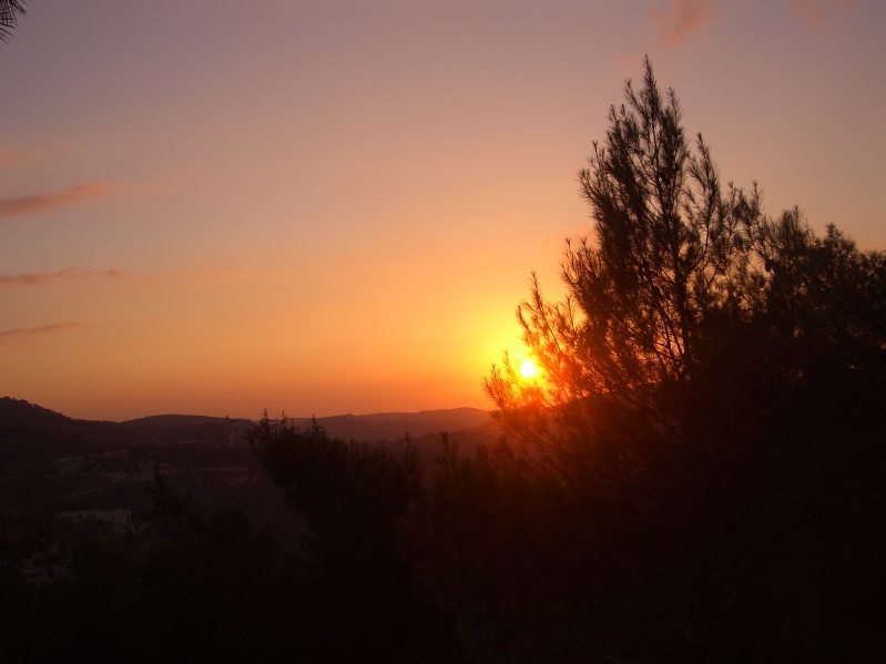 20061016-sunset-in-Jerusalem-Forest-CIMG0180.jpg