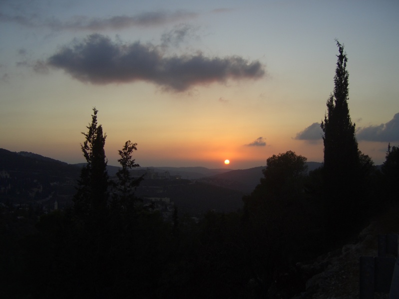 20061016-sunset-in-Jerusalem-Forest-CIMG0181.jpg