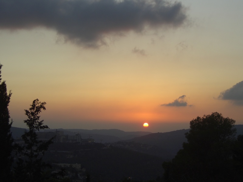 20061016-sunset-in-Jerusalem-Forest-CIMG0183.jpg