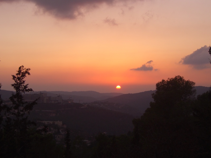 20061016-sunset-in-Jerusalem-Forest-CIMG0184.jpg