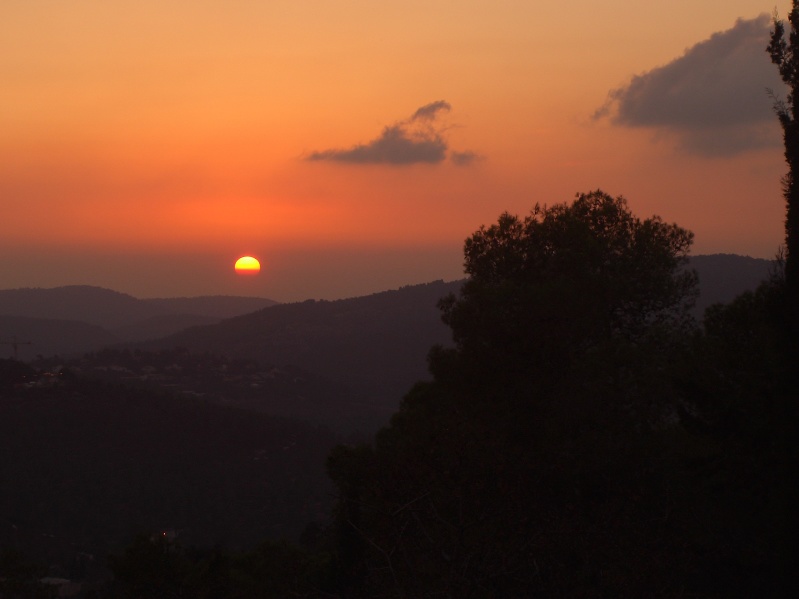 20061016-sunset-in-Jerusalem-Forest-CIMG0185.jpg