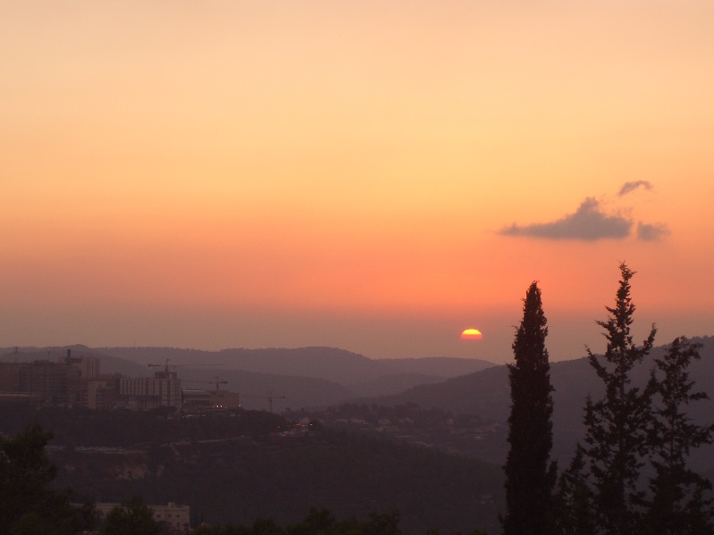 20061016-sunset-in-Jerusalem-Forest-CIMG0187.jpg
