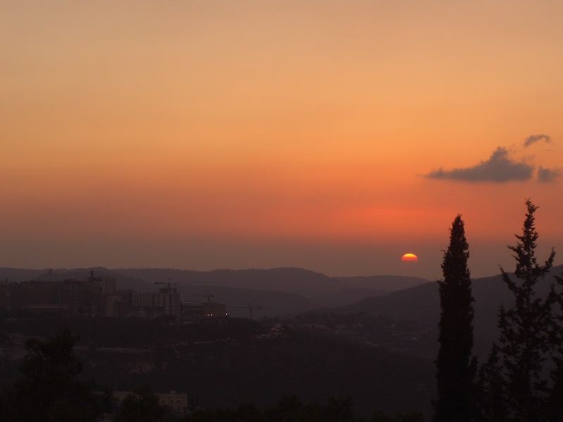 20061016-sunset-in-Jerusalem-Forest-CIMG0188.jpg