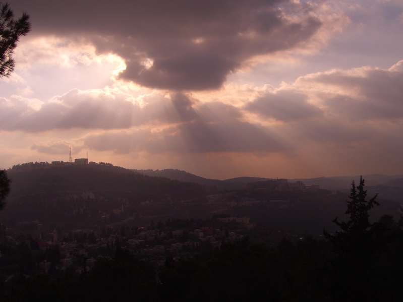 20061221-Jerusalem-Forest-sunset-C0533.jpg