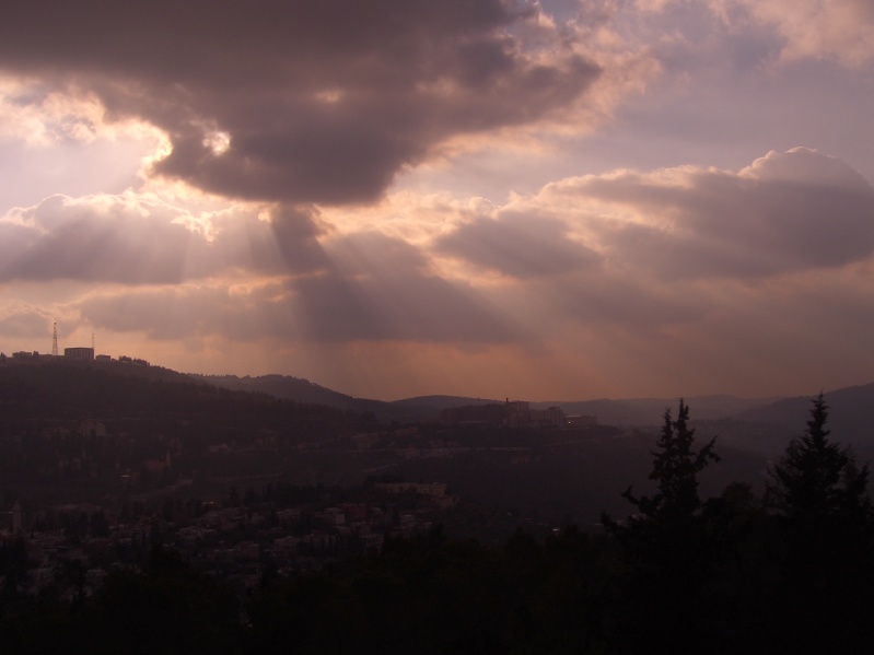 20061221-Jerusalem-Forest-sunset-C0534.jpg