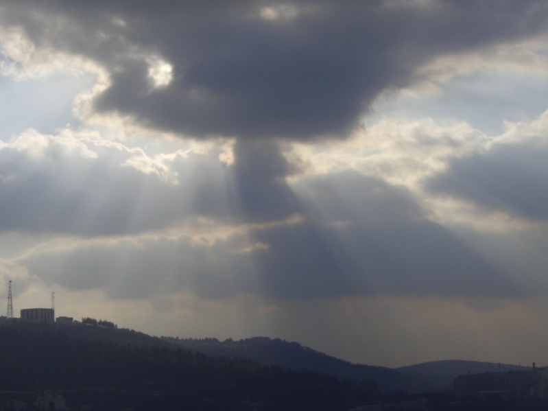 20061221-Jerusalem-Forest-sunset-C0535.jpg