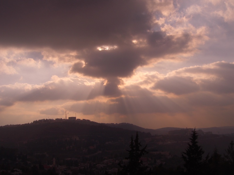 20061221-Jerusalem-Forest-sunset-C0538.jpg