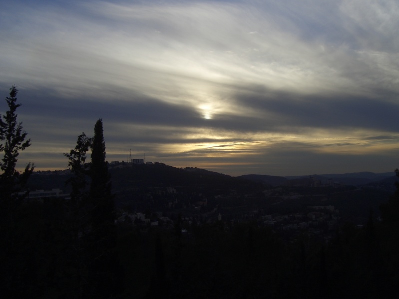 20070103-160338-Jerusalem-Forest-sunset-C0631.jpg