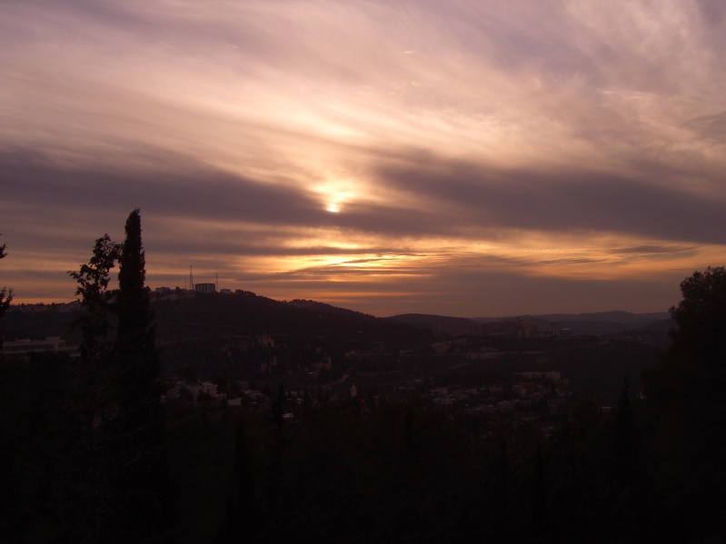 20070103-160354-Jerusalem-Forest-sunset-C0632.jpg