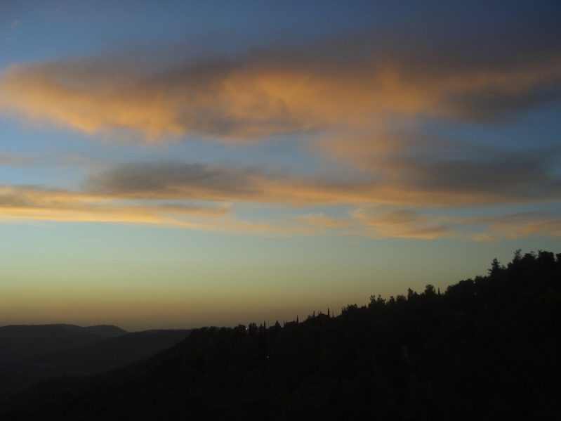 20070124-170752-Jerusalem-Forest-sunset-C0696.jpg