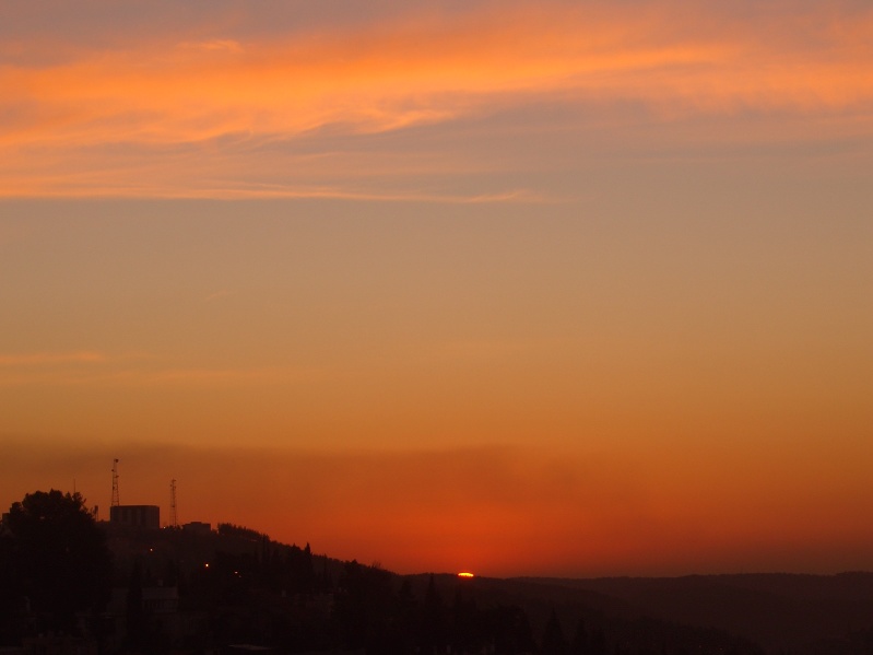 20070124-170836-Jerusalem-Forest-sunset-C0699.jpg