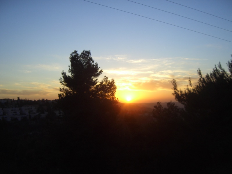 20070125-170350-Jerusalem-Forest-sunset-C0723.jpg