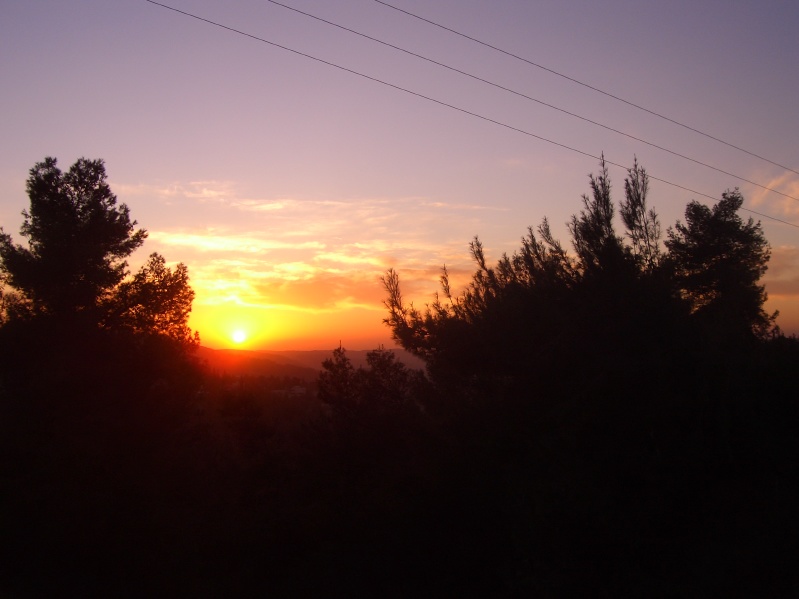 20070125-170402-Jerusalem-Forest-sunset-C0724.jpg